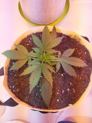 20220614_140124.jpg 20220614_140124.jpg