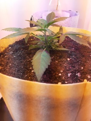 20220614_140105.jpg 20220614_140105.jpg