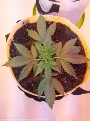 20220614_140428.jpg 20220614_140428.jpg