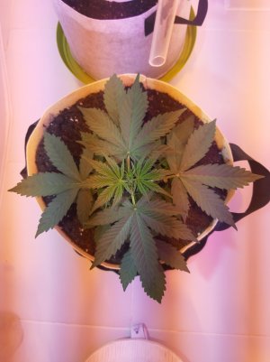 20220614_140831.jpg 20220614_140831.jpg