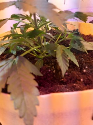 20220614_140853.jpg 20220614_140853.jpg