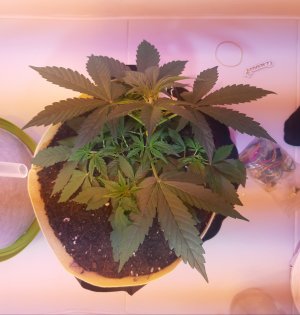 20220614_211020.jpg 20220614_211020.jpg