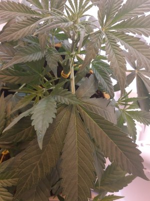 20220614_234146.jpg 20220614_234146.jpg