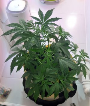 20220614_234029.jpg 20220614_234029.jpg