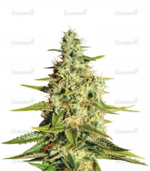 1655232006482.png 1655232006482.png