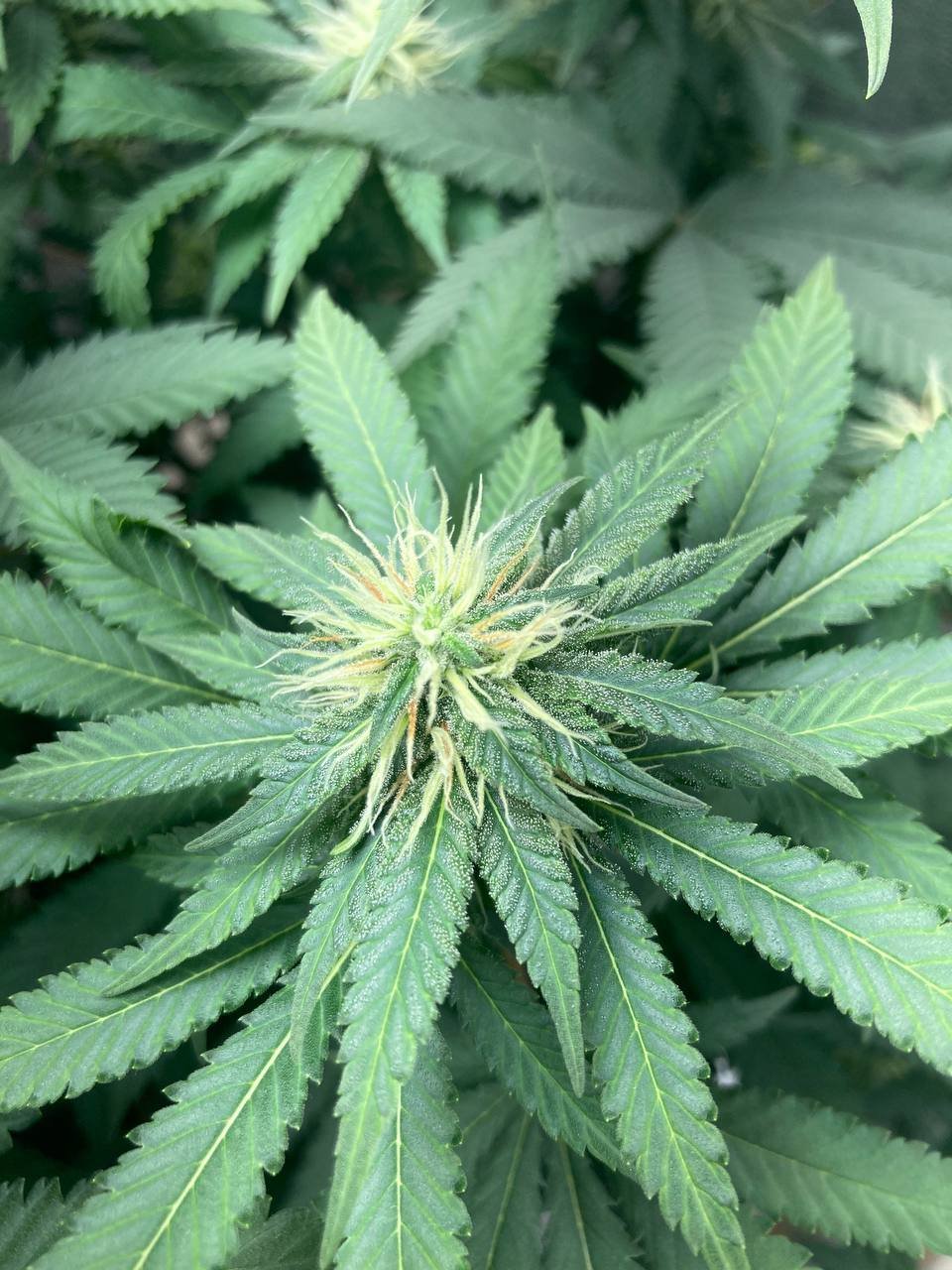 ййййййййййй.jpg ййййййййййй.jpg