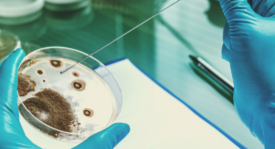 1655301789902.png 1655301789902.png