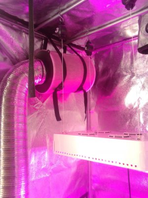 IMG_2022-06-16-09-36-07-220 (1).jpg IMG_2022-06-16-09-36-07-220 (1).jpg