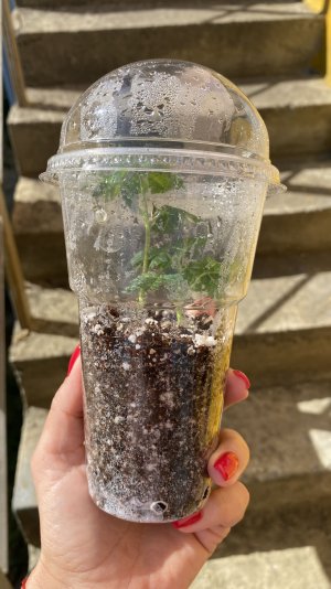 061A82C3-3417-4604-BF6D-A225F68B9491.jpeg 061A82C3-3417-4604-BF6D-A225F68B9491.jpeg