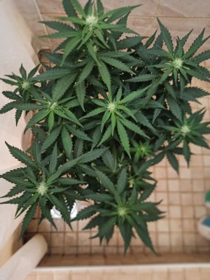 photo_2022-06-17_14-43-40 (2).jpg