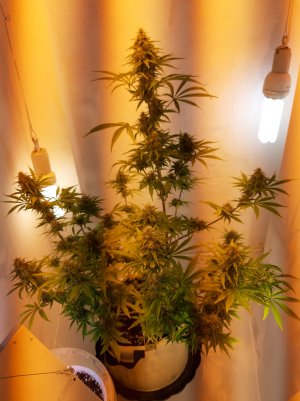 20220618_234627.jpg 20220618_234627.jpg