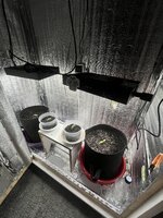 IMG_3185.jpeg