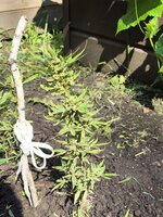 IMG_20260809_152016.jpg