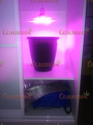 41-wm-83591.00000000035_watermarked.jpg 41-wm-83591.00000000035_watermarked.jpg