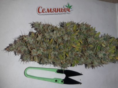 20220620_122540.jpg 20220620_122540.jpg