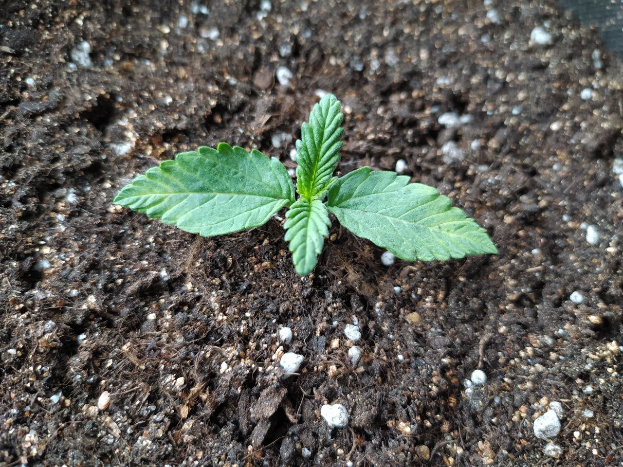 photo_20.jpg photo_20.jpg