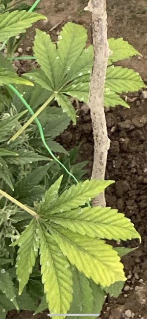 20.06.22 3.jpeg 20.06.22 3.jpeg