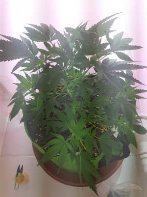 20220621_115942.jpg 20220621_115942.jpg