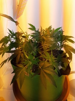 20220621_124556.jpg 20220621_124556.jpg