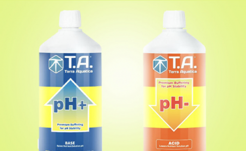 Изображение PNG 5.png Изображение PNG 5.png