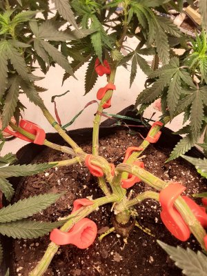 289073152_1474032313032123_2598392129751680030_n.jpg 289073152_1474032313032123_2598392129751680030_n.jpg