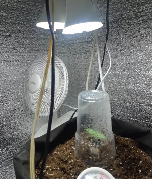 2306_кали1 (2).jpg