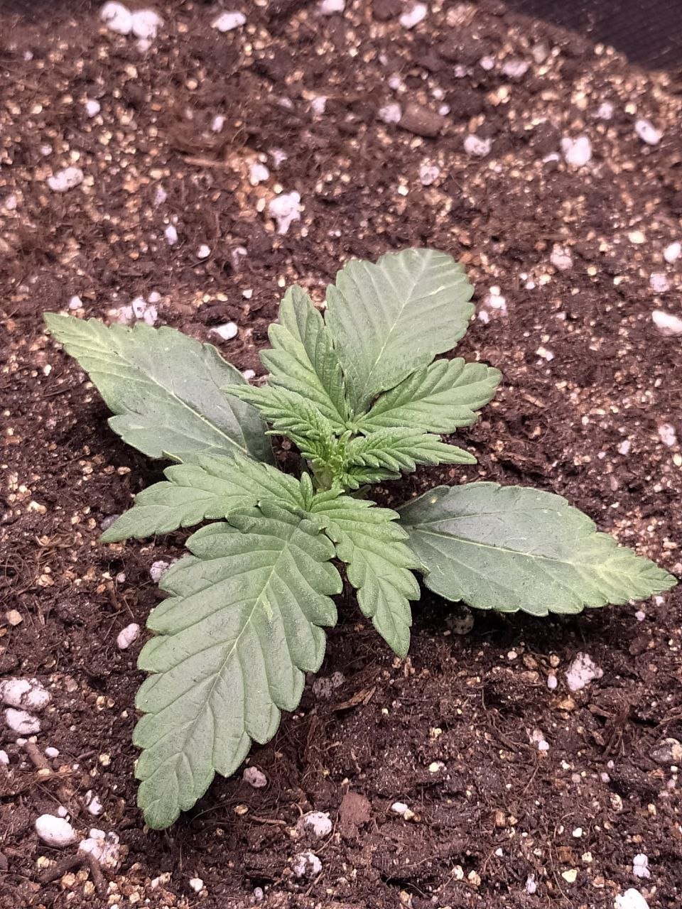 photo2 — копия.jpg photo2 — копия.jpg