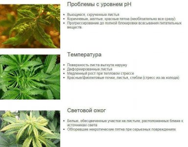 0F991F74-3B69-4261-8B55-5CE7E6BF0422.jpeg 0F991F74-3B69-4261-8B55-5CE7E6BF0422.jpeg