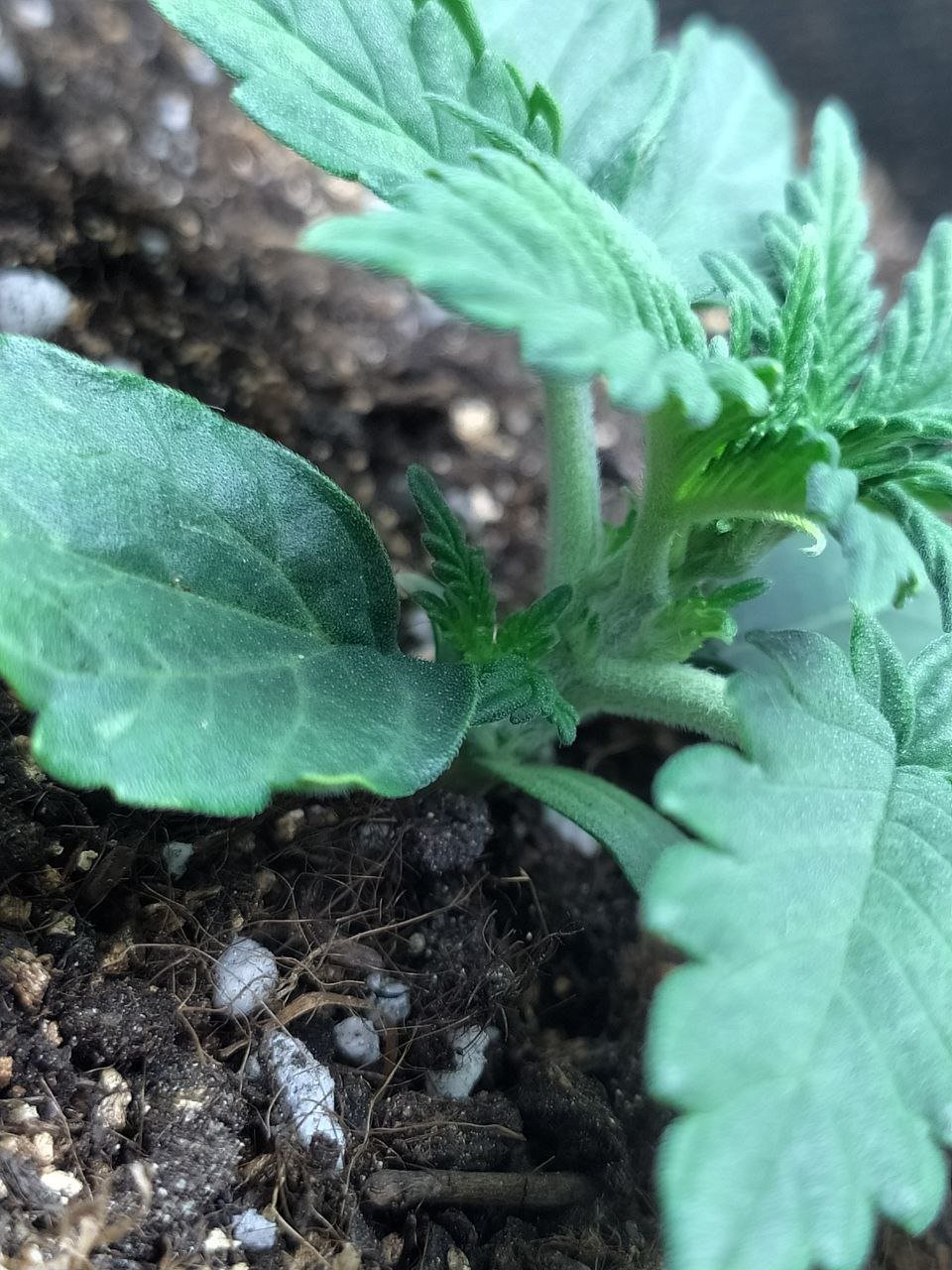 photo — копия.jpg photo — копия.jpg