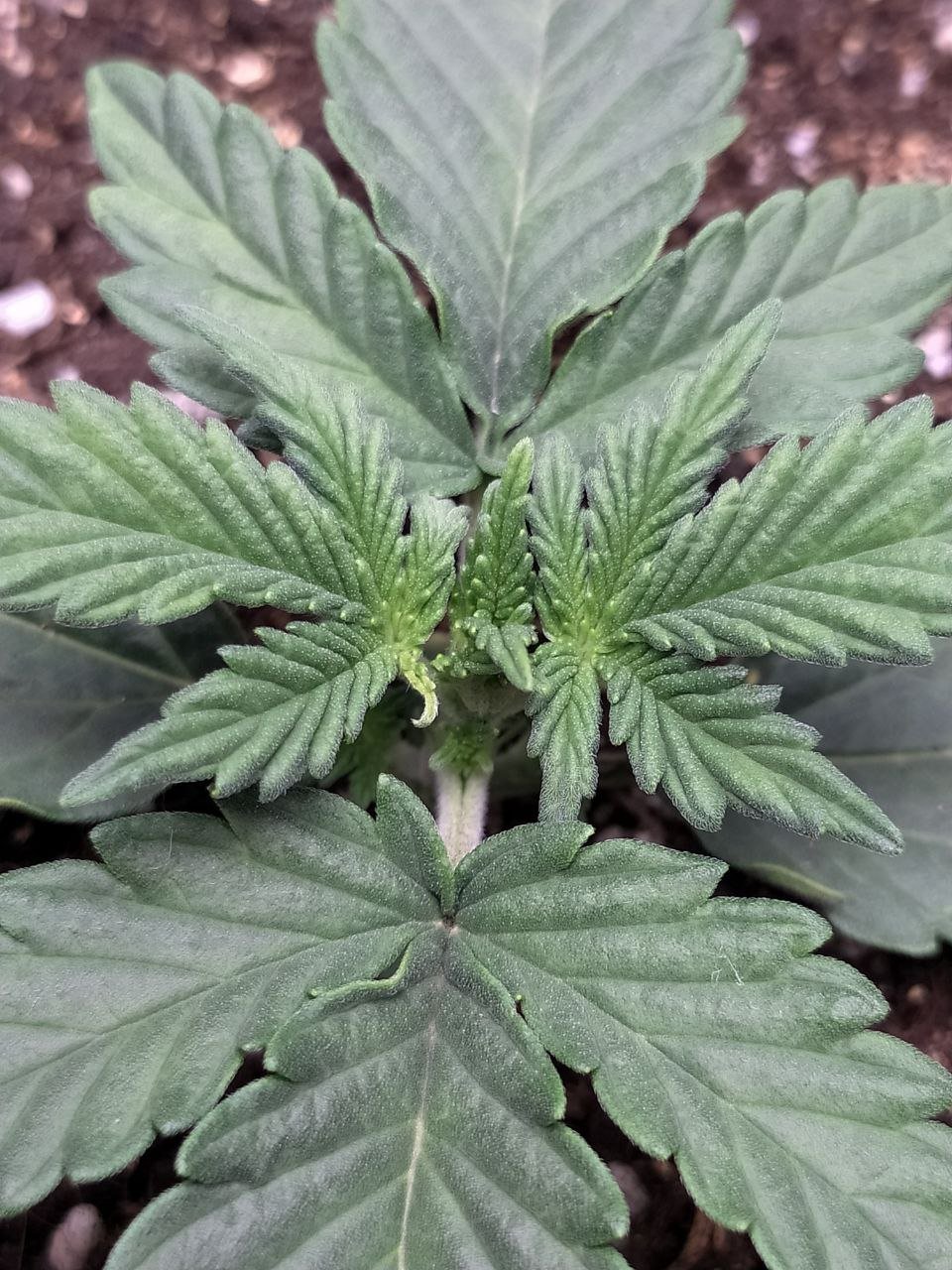 photo2 — копия.jpg photo2 — копия.jpg