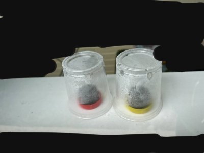 2DD33666-799A-4045-96DE-9B7D7E8B151A.jpeg 2DD33666-799A-4045-96DE-9B7D7E8B151A.jpeg