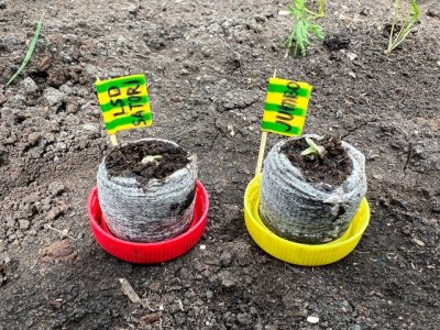 32128852-6B38-4B94-A76E-6472D1D16FB6.jpeg 32128852-6B38-4B94-A76E-6472D1D16FB6.jpeg