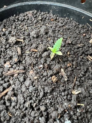 8EEEC48B-2CDD-4BDC-AD0F-3BFFABCD912F.jpeg 8EEEC48B-2CDD-4BDC-AD0F-3BFFABCD912F.jpeg