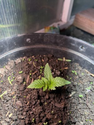 FEB20DAE-5FA2-4E80-9237-1374C56C74C5.jpeg FEB20DAE-5FA2-4E80-9237-1374C56C74C5.jpeg