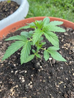 FBB58EAF-122D-4C7A-B38C-F8B0DA1F5A1E.jpeg FBB58EAF-122D-4C7A-B38C-F8B0DA1F5A1E.jpeg