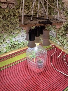 CFB071F7-5E03-4053-8255-B36A1494355B.jpeg CFB071F7-5E03-4053-8255-B36A1494355B.jpeg