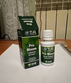 AD02672B-E5BD-4E36-85FC-6E7F646B3DF3.jpeg AD02672B-E5BD-4E36-85FC-6E7F646B3DF3.jpeg