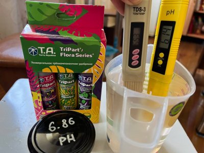 7BF44C74-3BC3-4D81-B949-B41BB9334149.jpeg 7BF44C74-3BC3-4D81-B949-B41BB9334149.jpeg