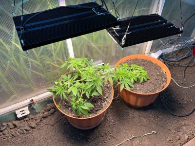 F9028C87-5F79-4C4D-881A-F2BAEDEC5523.jpeg F9028C87-5F79-4C4D-881A-F2BAEDEC5523.jpeg