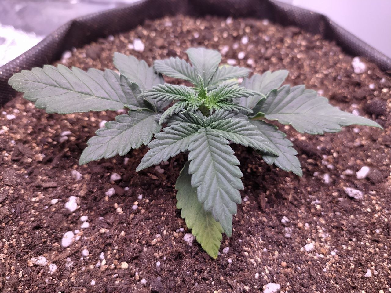 photo3 — копия.jpg photo3 — копия.jpg