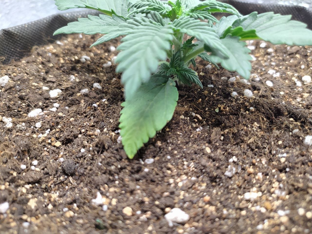 photo2 — копия.jpg photo2 — копия.jpg