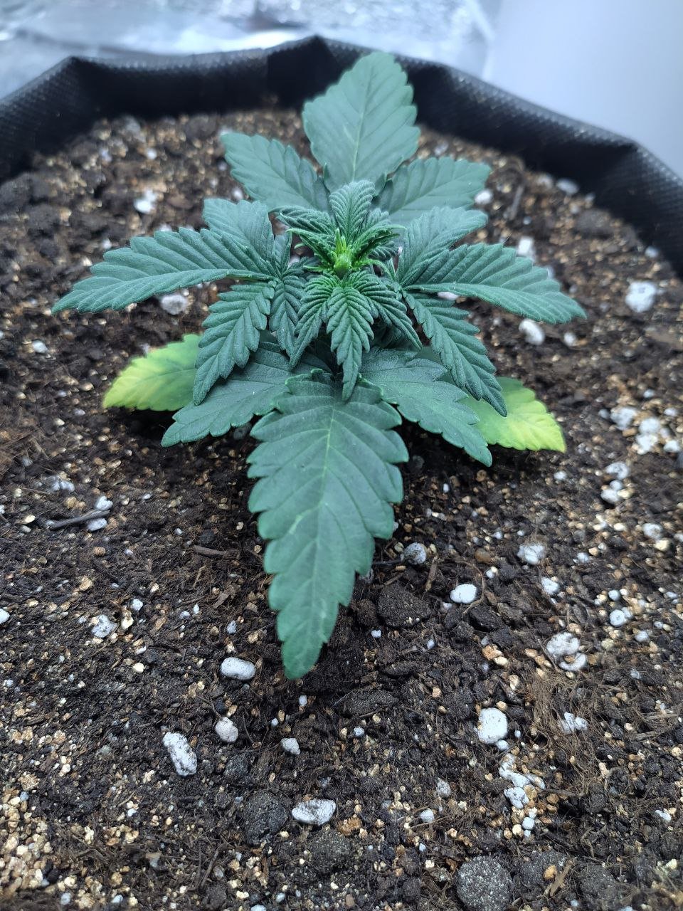 photo2 — копия.jpg