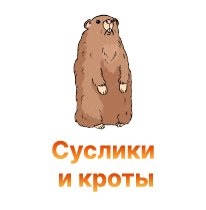 Защита конопли от сусликов и кротов