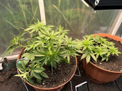 F46115A2-A56A-4B9D-95C5-BD98FAEB731D.jpeg F46115A2-A56A-4B9D-95C5-BD98FAEB731D.jpeg