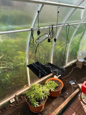 EF9A1293-023E-4667-92B3-8C4DE5DD649E.jpeg EF9A1293-023E-4667-92B3-8C4DE5DD649E.jpeg