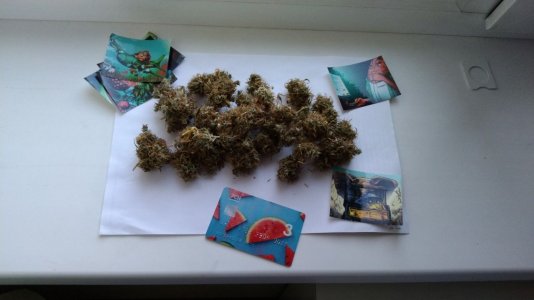 IMG_20220629_204918_185.jpg IMG_20220629_204918_185.jpg