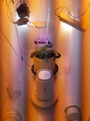 20220630_235544.jpg 20220630_235544.jpg