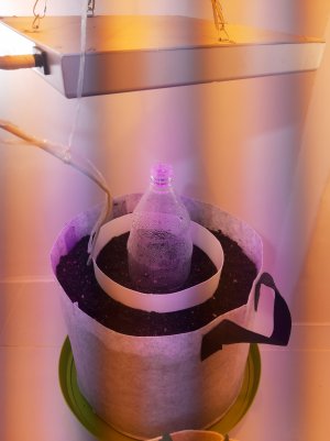 20220630_235606.jpg 20220630_235606.jpg