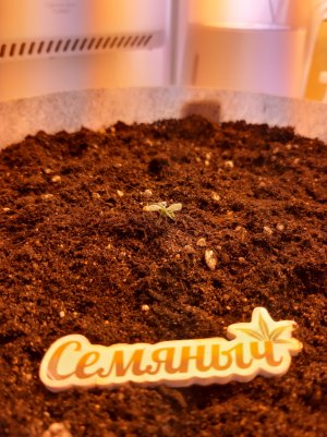 20220701_110936.jpg 20220701_110936.jpg