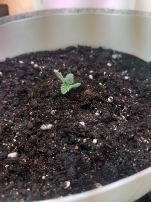 20220701_122827.jpg 20220701_122827.jpg